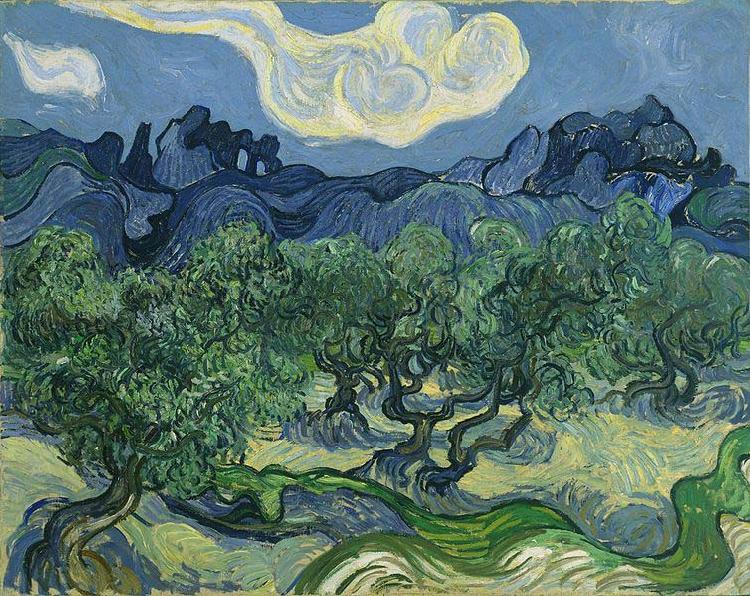 Vincent Van Gogh The Olive Trees France oil painting art